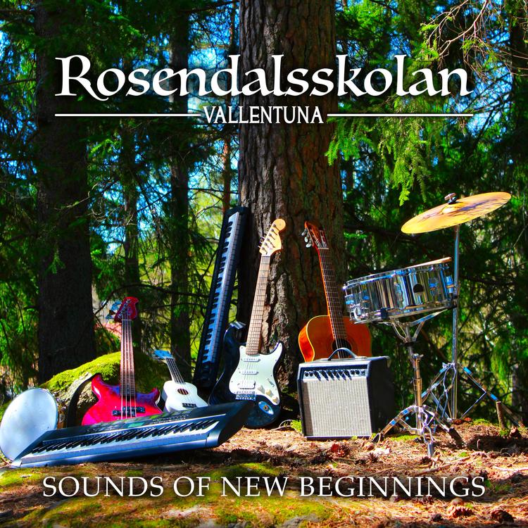 Rosendalsskolan Vallentuna's avatar image