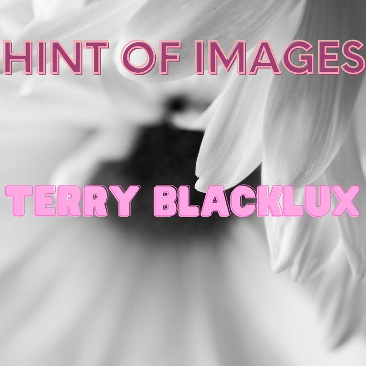 Terry Blacklux's avatar image