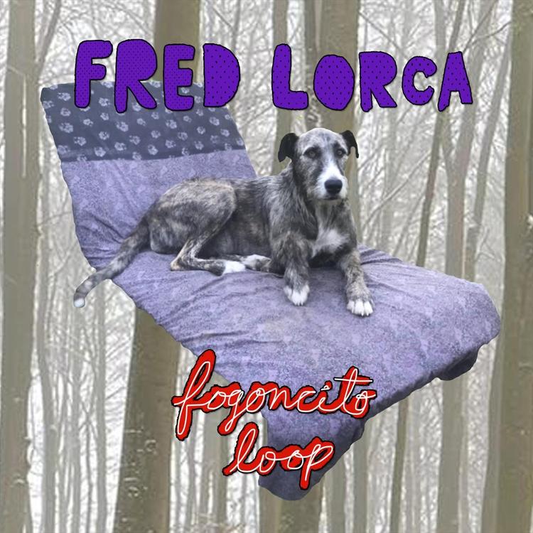 Fred Lorca's avatar image