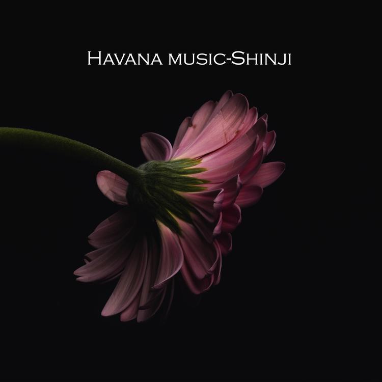 Havana music's avatar image