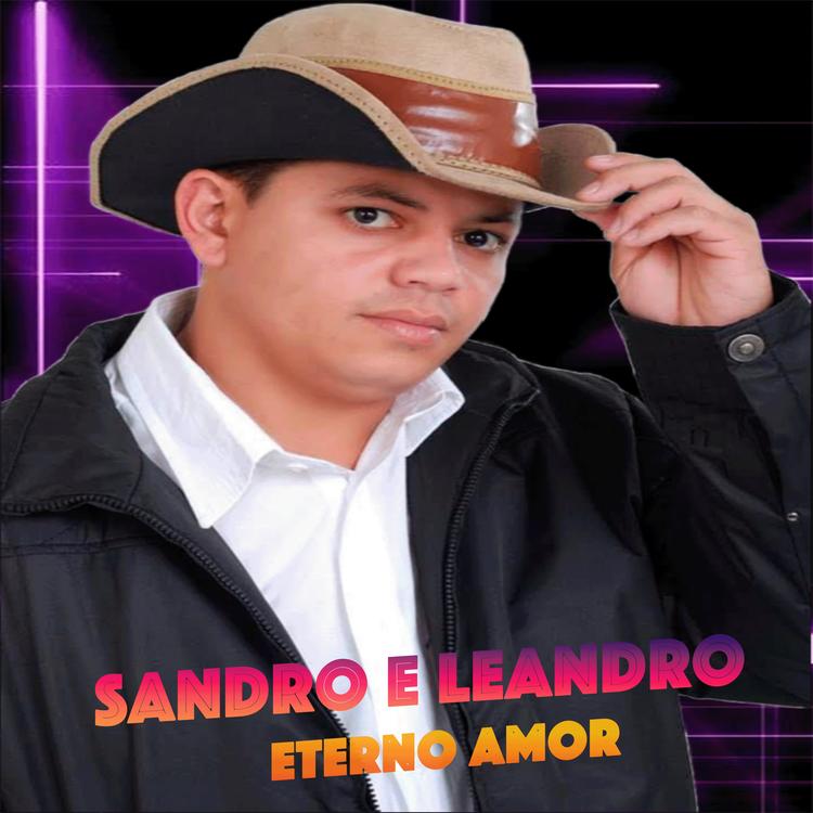SANDRO E LEANDRO's avatar image