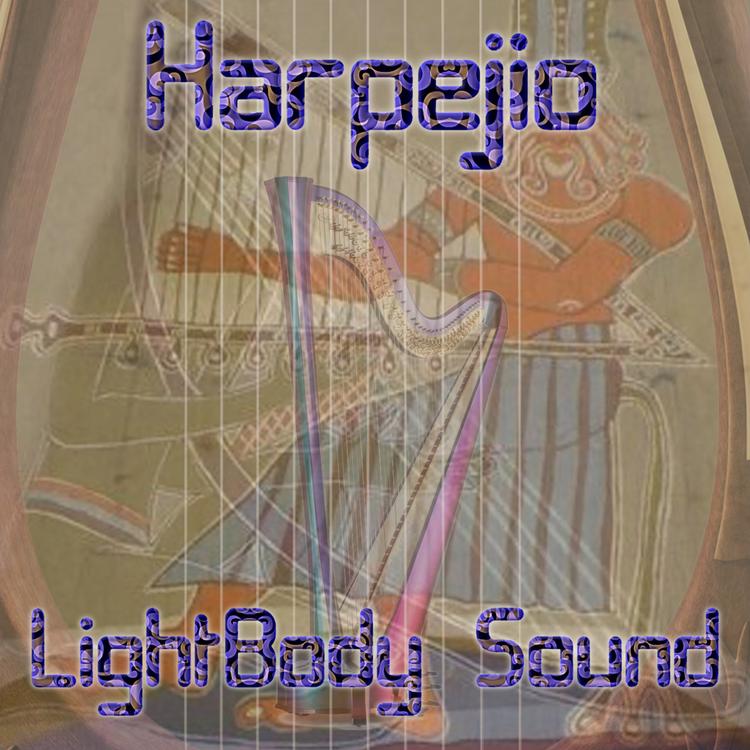 LightBody Sound's avatar image