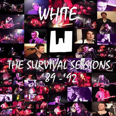 The Survival Sessions - '89 - '92's cover