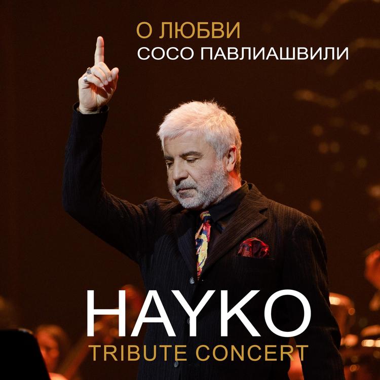 Soso Pavliashvili /Hayko Tribute's avatar image