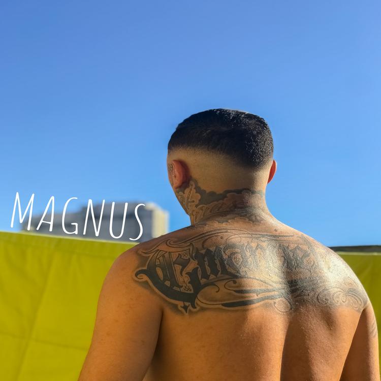 Magnus Mc's avatar image