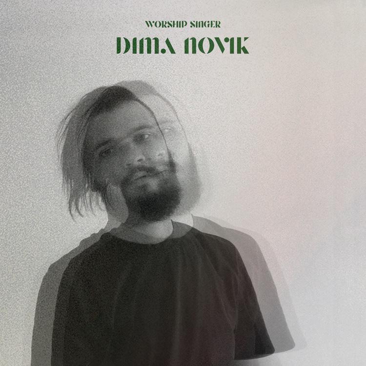 Dima Novik's avatar image