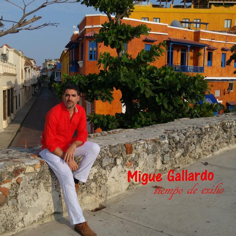 Migue Gallardo's avatar image