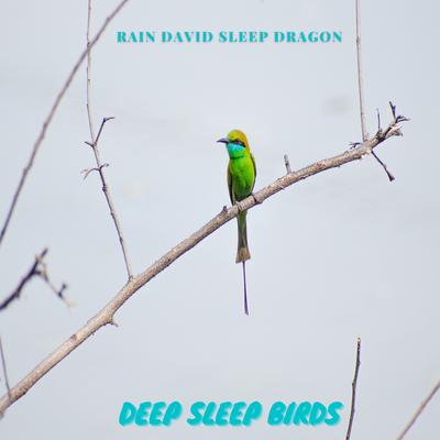 Fantastic Tropical Bird Recording's cover