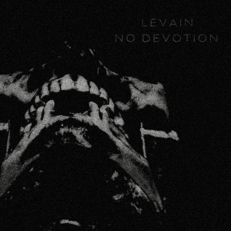 Levain's avatar image