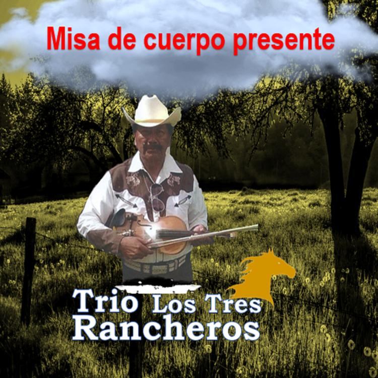 Trio los tres rancheros's avatar image
