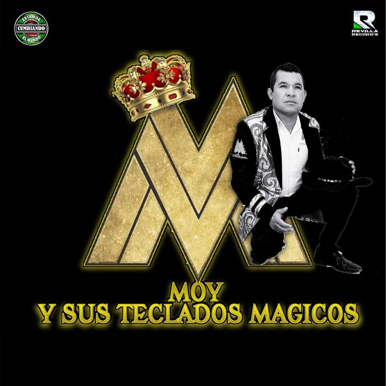 MOY Y SUS TECLADOS MAGICOS's avatar image