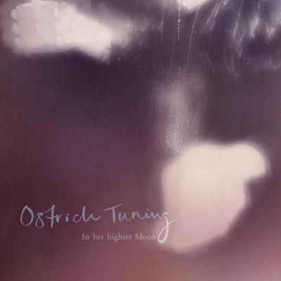 Ostrich Tuning's cover