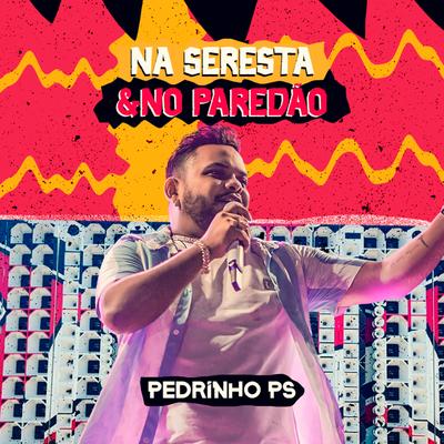 Vou Gritar pro Mundo By Pedrinho PS's cover