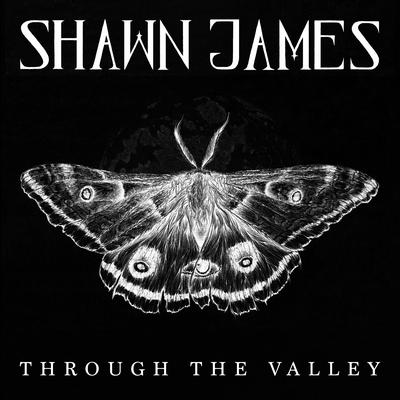 Through the Valley By Shawn James's cover