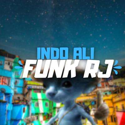 Indo Ali x Funk Rj By PH LUCAS's cover