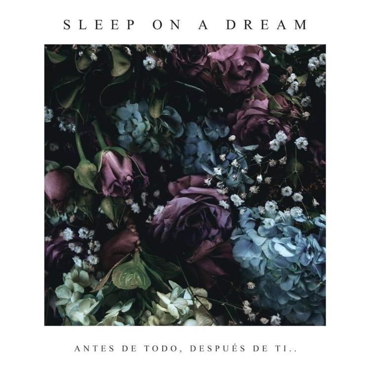 Sleep on a Dream's avatar image