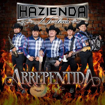 hazienda norteña's cover