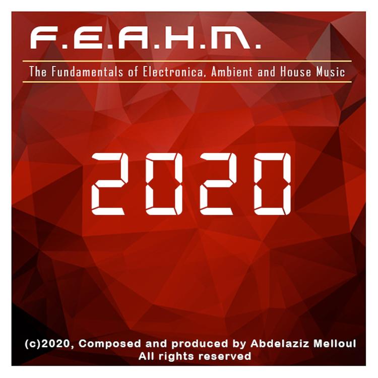 AbdelAziz Melloul (F.E.A.H.M.)'s avatar image