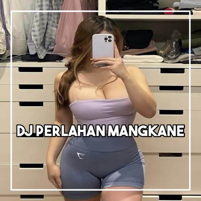 DJ PERLAHAN ENGKAU PUN MENJAUH DARI DIRIKU's cover