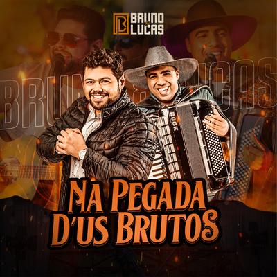 O Campeão / Bandeira Branca / A Vaca Já Foi pro Brejo / A Coisa Tá Feia (Ao Vivo) By Bruno e Lucas's cover