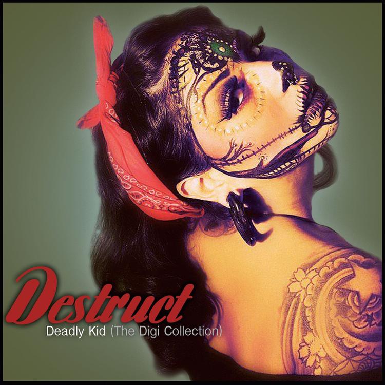 DESTRUCT's avatar image