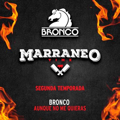 Bronco's cover