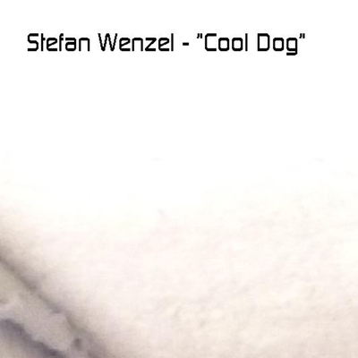 stefan wenzel's cover