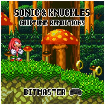 Mushroom Hill Zone By Bitmaster's cover