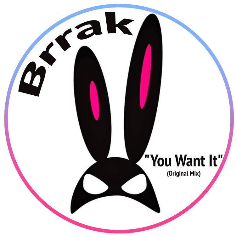 BRRAK's avatar image