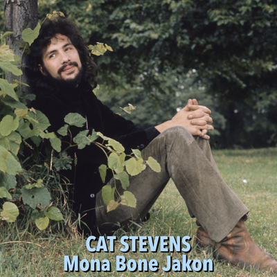 Mona Bone Jakon's cover