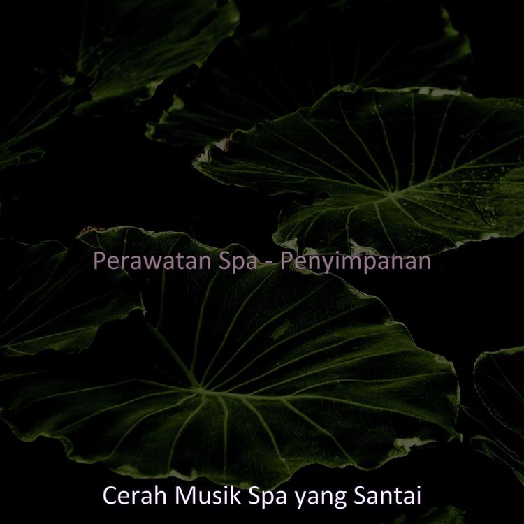 Cerah Musik Spa yang Santai's avatar image
