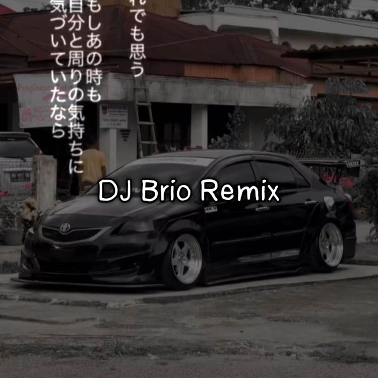 DJ BRIO REMIX's avatar image