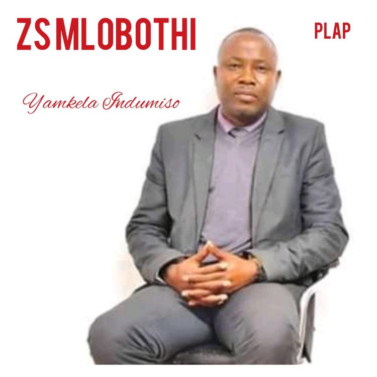 ZS Mlobothi's avatar image