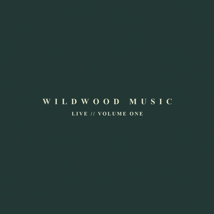 Wildwood Music's avatar image