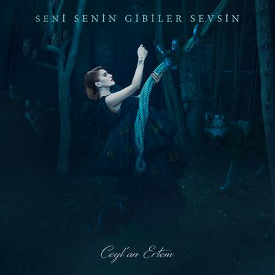 Seni Senin Gibiler Sevsin's cover