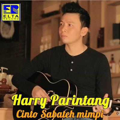 Cinto Nan Bapitaruahkan's cover