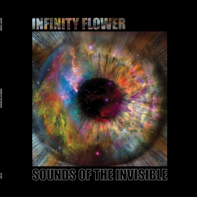 Infinity Flower's avatar image
