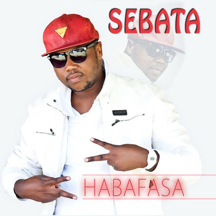 Sebata's avatar image