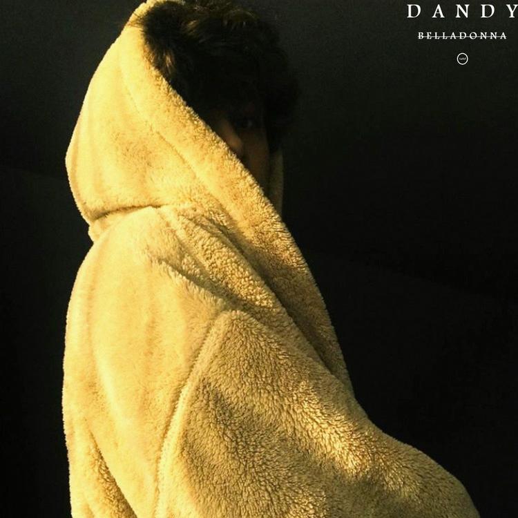 DANDY's avatar image