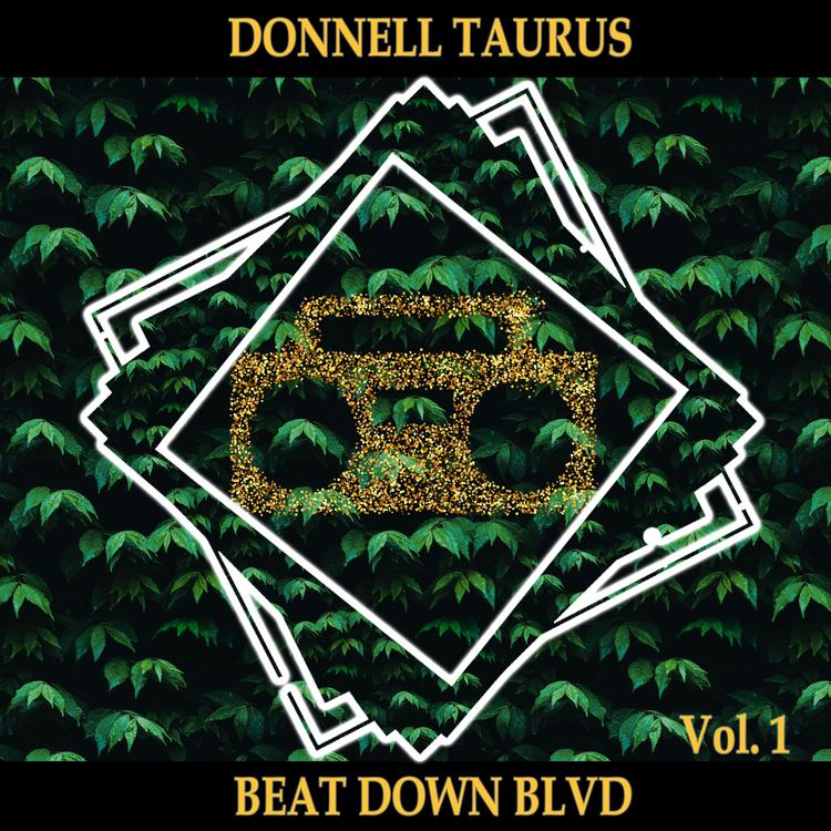 Donnell Taurus's avatar image