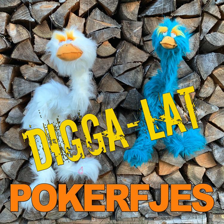 POKERFJES's avatar image