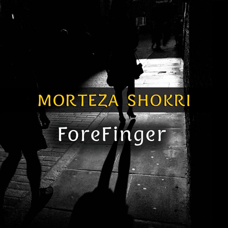 Morteza Shokri's avatar image