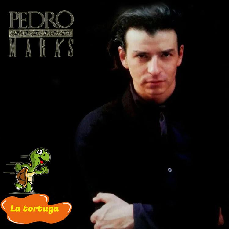 Pedro Marás's avatar image