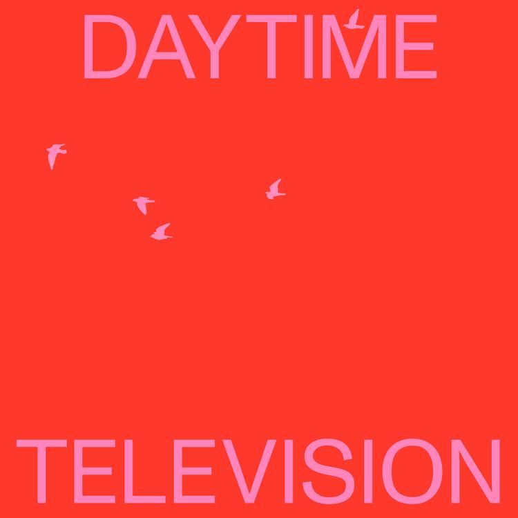 Daytime Television's avatar image