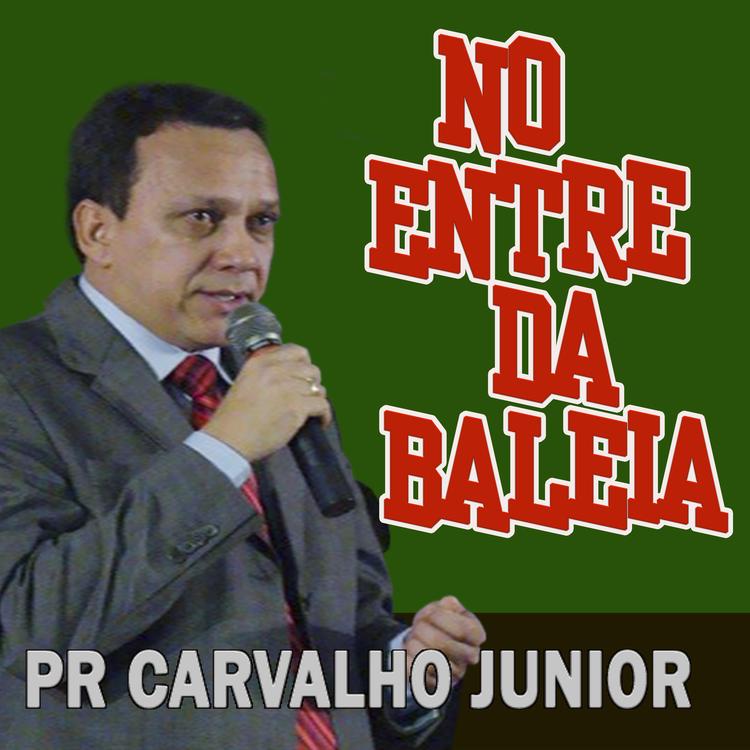 CARVALHO JUNIOR PALESTRANTE's avatar image