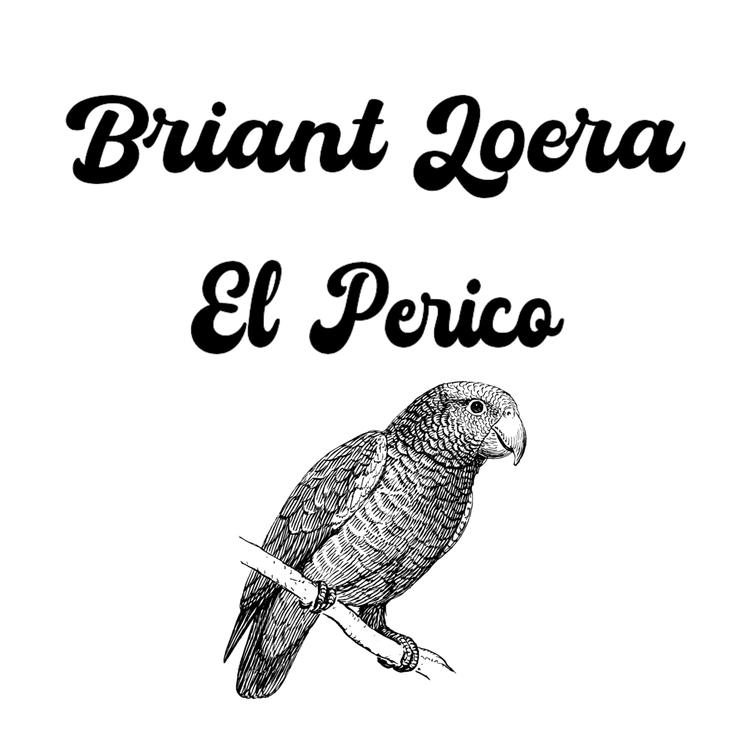 Briant Loera's avatar image