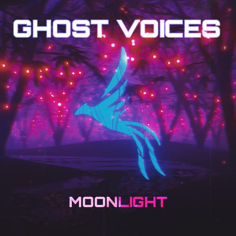 Ghost Voices's avatar image