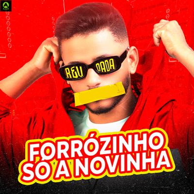 Forrózinho Só a Novinha By djmelk, Alysson CDs Oficial's cover