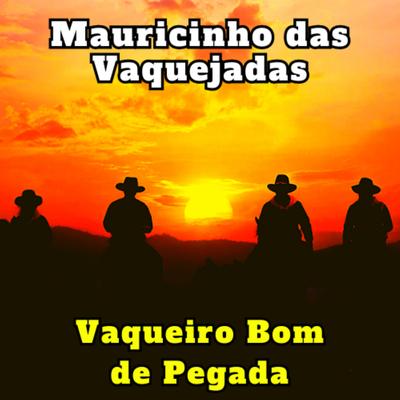 Toada de Vaqueiro's cover