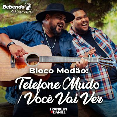 Bloco Modão: Telefone Mudo / Você Vai Ver By Franklin e Daniel's cover